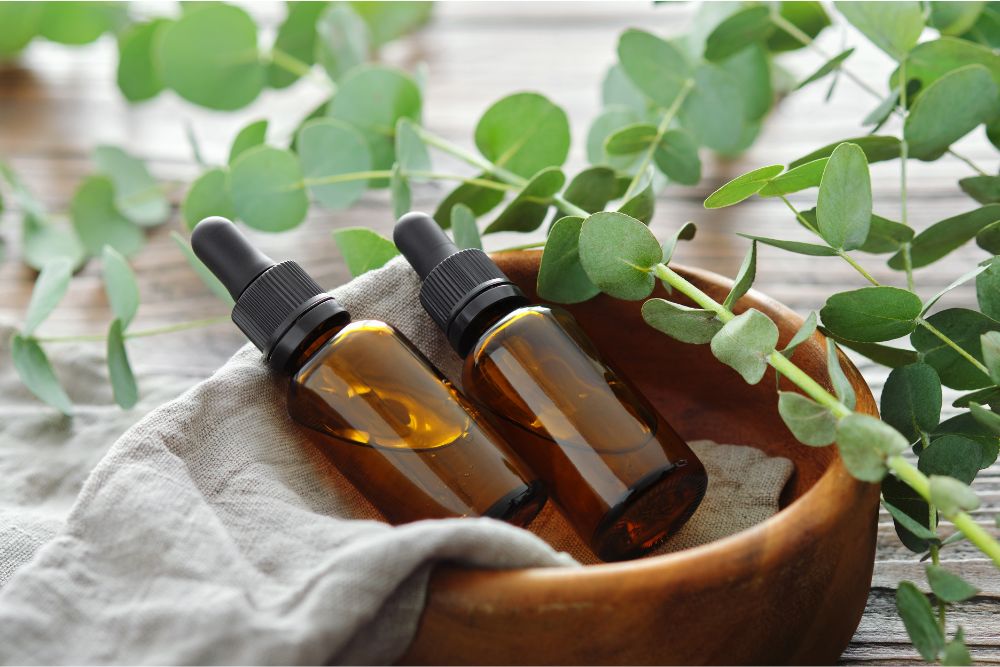 Flacon d'huile d'eucalyptus avec des feuilles d'eucalyptus fraîches - soins naturels de la peau