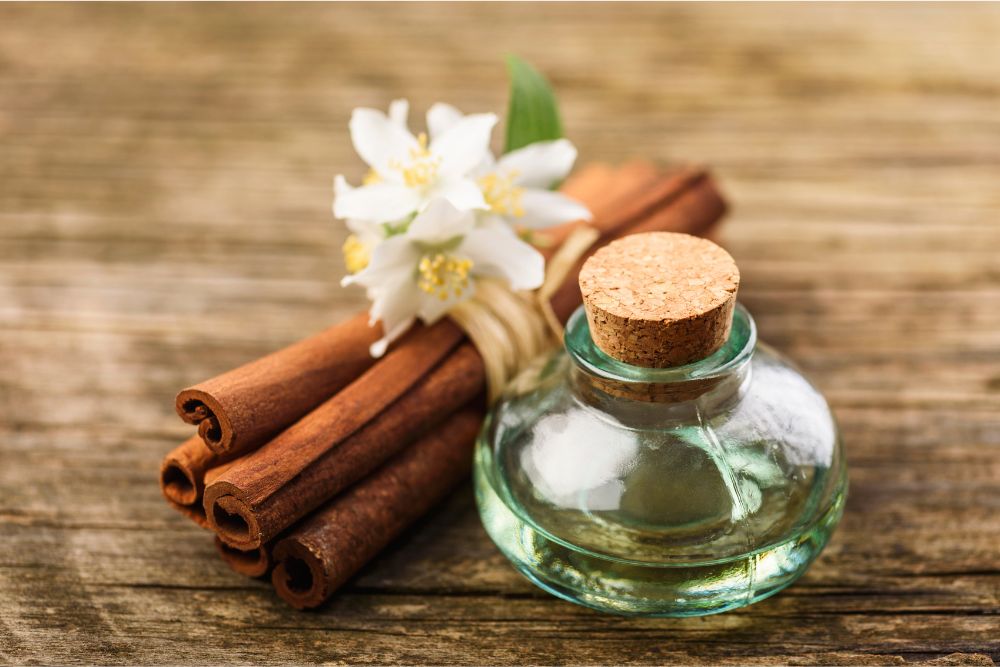 Récolte manuelle de plantes aromatiques pour la production d'huiles essentielles rares