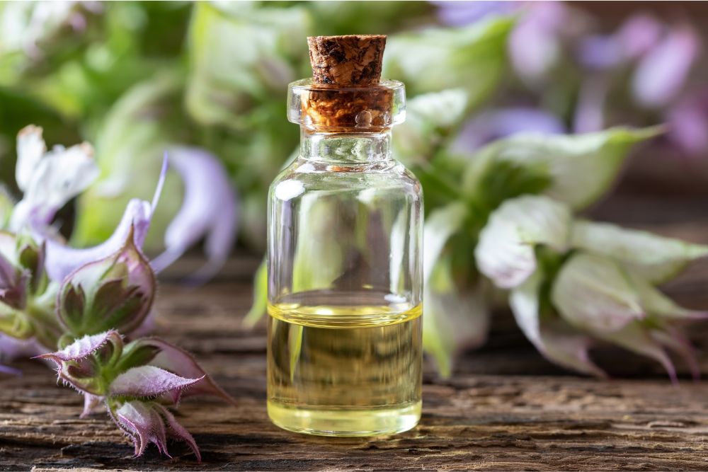 Huile essentielle de sauge dans un flacon avec des feuilles de sauge fraîches