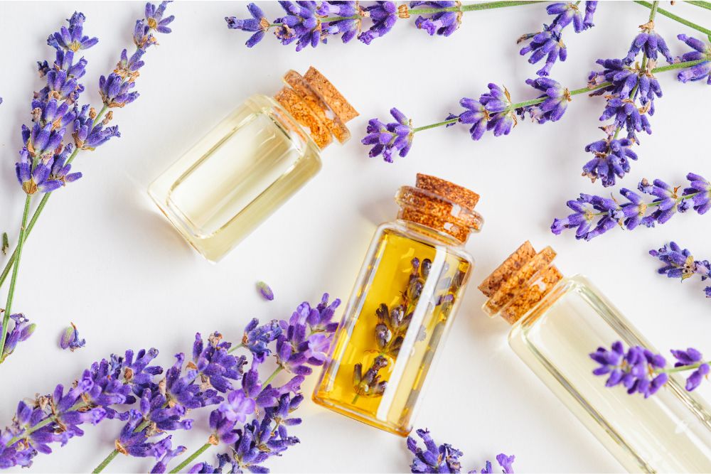 Flacon sombre d'huile essentielle de lavande avec de la lavande fraîche - aromathérapie naturelle
