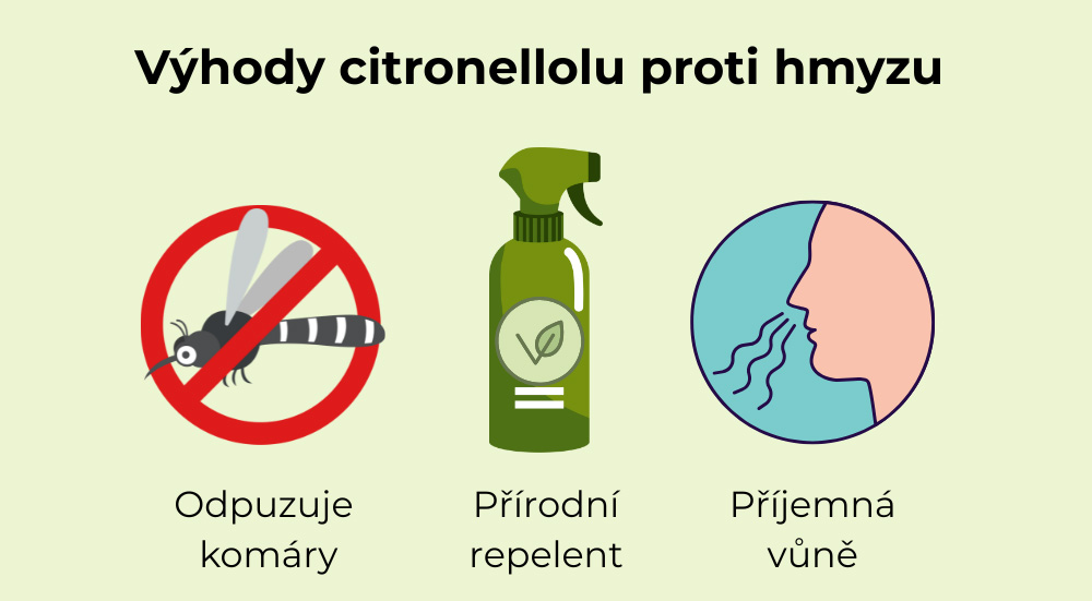 Infographie sur les atouts du citronellol – parfum naturel frais, origine végétale, utilisation dans des produits pour l'extérieur.