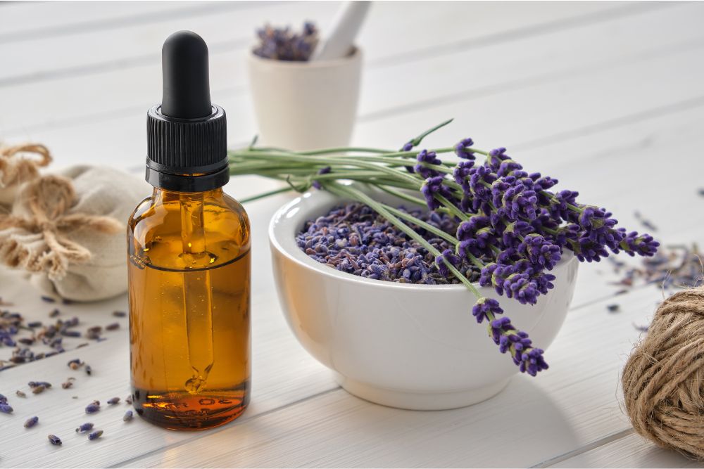 Flacon d’huile essentielle de lavande avec des fleurs de lavande violettes