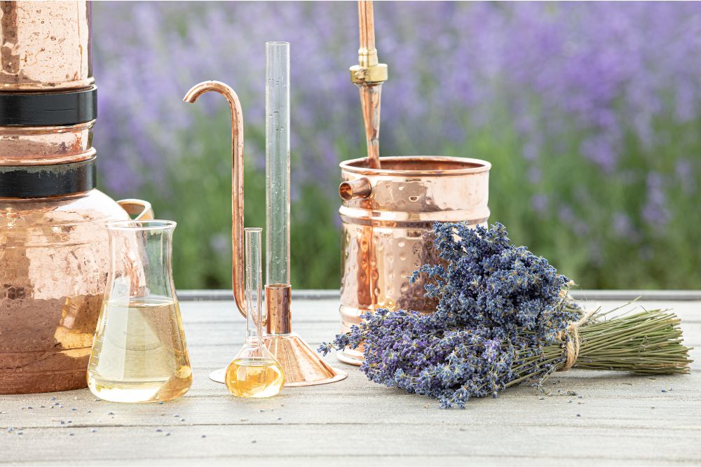 Distillation traditionnelle des huiles essentielles