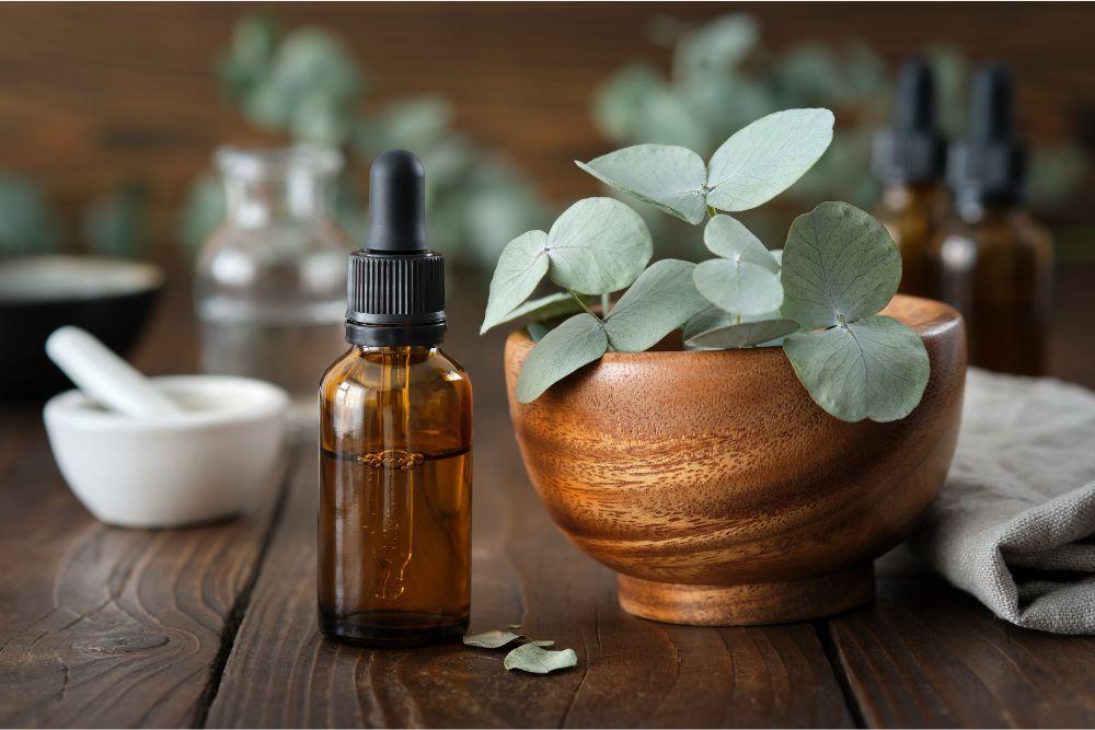 Rameaux d’eucalyptus avec un flacon d’huile d’eucalyptus pour l’aromathérapie