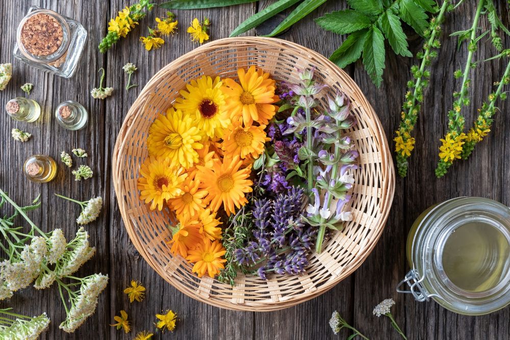 Appareil de distillation pour la fabrication d'huiles essentielles avec de la matière végétale