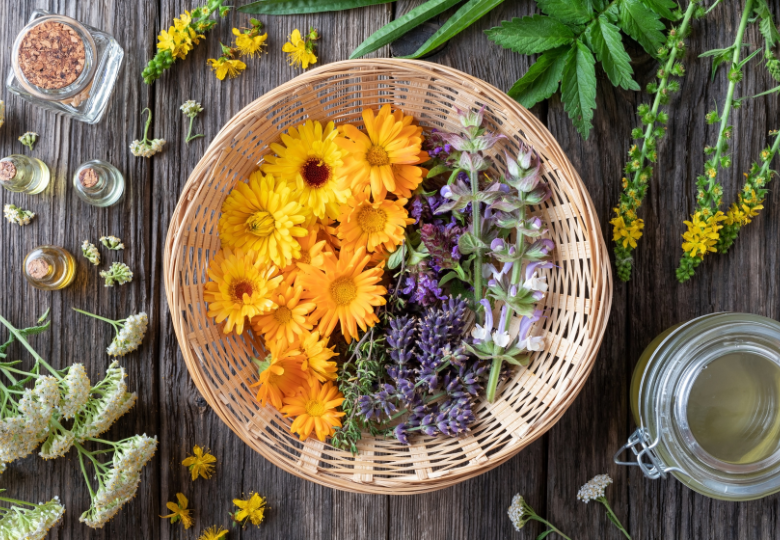 Aromathérapie chinoise traditionnelle avec des huiles essentielles et des herbes sur une table en bois
