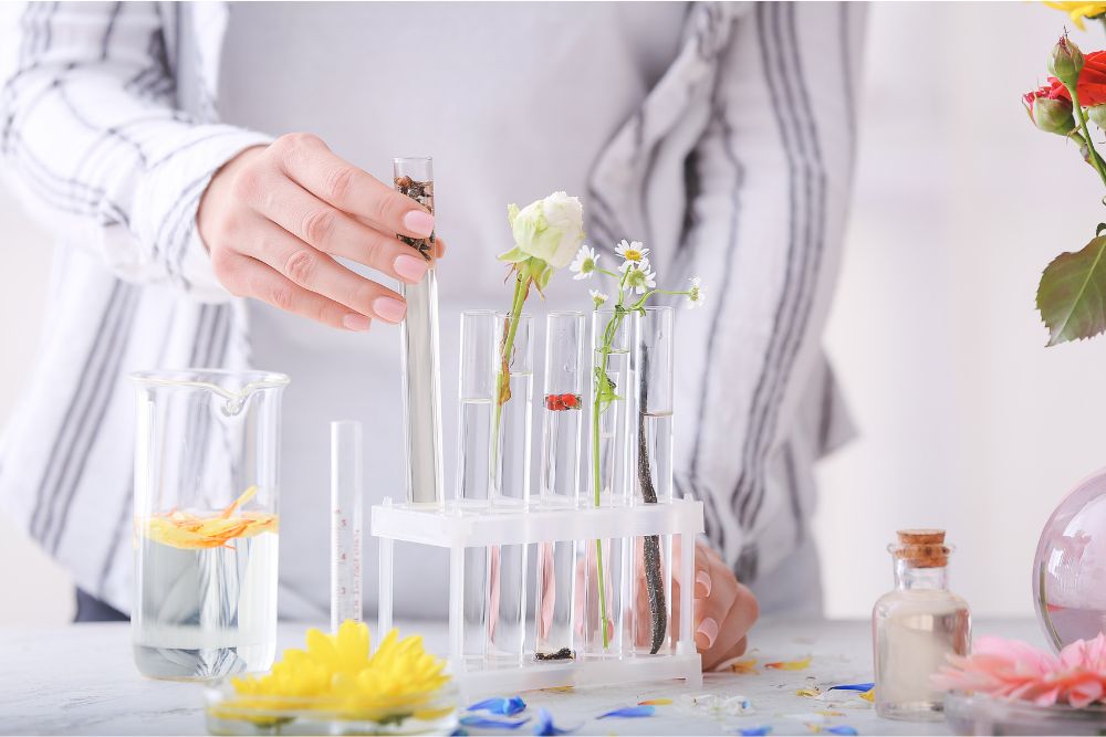 Processus de distillation des huiles essentielles : alambic traditionnel à vapeur d'eau